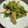 MapiSapi's cooksnap of when they made セロリの葉大量消費☆簡単緑のかき揚げ.
