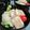 イベ長's cooksnap of when they made 胡麻ドレッシング ワカメと豆腐のサラダ.