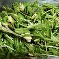 えみりんたん's cooksnap of when they made 塩昆布&水菜の和風サラダ★クリチパスタ.