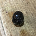 Ruriluru's cooksnap of when they made アボカドの保存の仕方.