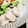 クックM96XDX☆'s cooksnap of when they made 鶏むね肉のジップロックで簡単サラダチキン.