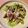 さすらい's cooksnap of when they made かつおのたたき　ピリ辛だれ.