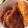 kayochan5's cooksnap of when they made 群馬県桐生市名物ソースカツ丼.