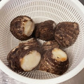 あさひ＊ごちそう研究's cooksnap of when they made 簡単！里芋皮ごと茹でるだけ.