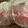 MULA's cooksnap of when they made 塩胡椒で豚ロース肉ブロックの下ごしらえ.
