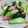 えりこ82☆'s cooksnap of when they made 青梗菜とベーコンの炒め.