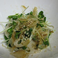 由芽15's cooksnap of when they made さっぱり美味☆蓮根とかいわれの和風サラダ.