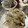 め目め's cooksnap of when they made 【まるで脱皮】エビの剥き方.