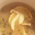 ふぁんころ's cooksnap of when they made 松茸のみそ汁.