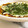 E吉☆'s cooksnap of when they made *ネギの卵焼き☆お好み焼き風*.