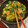 キャビィーママ's cooksnap of when they made ごままみれ！かぼちゃとちくわの甘辛炒め.
