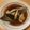 さすらい's cooksnap of when they made 優しい味付け♡黒カレイの煮付け.