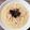 ＊ＫＹＯ＊'s cooksnap of when they made レンジで簡単♡明太バタークリームうどん.