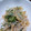 松潤LOVE♥️♥️'s cooksnap of when they made 春雨の中華風酢の物.