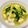 azbjbn's cooksnap of when they made 豆腐とチンゲン菜のオイスター煮込み.