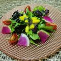 Laufen's cooksnap of when they made 彩り鮮やかな紅芯大根のサラダ♡.