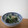 みるく茶's cooksnap of when they made ほうれん草とワカメの梅マヨ和え.