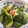 クックG1CG0C☆'s cooksnap of when they made 簡単!!お茶漬けの素で浅漬け.