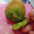 ひっこ's cooksnap of when they made キウイの剥き方(芯の取り方).