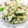 Tケｰ′sK's cooksnap of when they made きゅうりと豆腐の和え物.