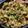 みこひろママ's cooksnap of when they made ブロッコリーとミンチのオイスターソス炒め.