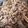 arinco82's cooksnap of when they made 牛丼.