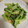 ピーナッツ子♪'s cooksnap of when they made 青菜の塩ニンニク炒め～♡簡単時短で旨し♪.