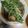 クックFFKP59☆'s cooksnap of when they made めんつゆde茄子と水菜のトロッと煮.