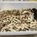 ベティマム's cooksnap of when they made キノコの塩漬け(保存食).