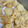 2319AYM's cooksnap of when they made 大絶賛☆蓮根のマヨ唐揚げ.