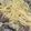 クックH2TO5O☆'s cooksnap of when they made プロ直伝！お家で簡単！ボンゴレビアンコ.