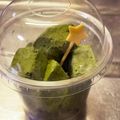 ぢばお's cooksnap of when they made 抹茶好きに捧ぐ★濃厚抹茶生チョコ.