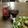 chaーki's cooksnap of when they made ケールサラダ.