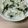 くみことムック's cooksnap of when they made vol.35 柿の白和え.