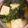☆ドキンちゃん☆”'s cooksnap of when they made あおさの味噌汁☆.