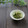 まろんかふぇ's cooksnap of when they made お弁当に♪しらすときゅうりのごま和え.