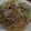 クックZTZ10H☆'s cooksnap of when they made 豚肉キャベツのマスタードマヨパスタ.