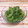 ぷくぷくさざれ's cooksnap of when they made 冷え②♥ゴーヤの旨塩中華スープ浸し.