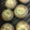 さぁ★たぁ★'s cooksnap of when they made 椎茸✿鮭フレークマヨネギ焼き♬.