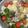 おいしか♪'s cooksnap of when they made 鯛のあらのアクアパッツァ.