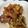 chi✧'s cooksnap of when they made 炊飯器で！手羽元と大根のとろとろ煮.
