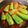 jagao's cooksnap of when they made 何食べ☆シロさんのピーマンの肉詰め.