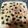くりすたるけいこ's cooksnap of when they made 簡単！冷蔵発酵生地でフォカッチャ.