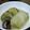 ひろちゃん☆ママ's cooksnap of when they made ロール白菜♫ あっさりコンソメで♬.