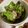 クック49L4Ho☆'s cooksnap of when they made 生ハムと桃のサラダ～すだちドレッシング～.