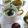 ♪しんちんぐ～♪'s cooksnap of when they made ◆ほっこり＊抹茶のホットチョコレート◆.