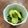 栗丸うさぎ's cooksnap of when they made きゅうりとわかめの酢のもの.