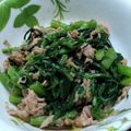 プルンバゴ's cooksnap of when they made 美容と健康に♪春菊のツナ和え【簡単】.