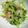 クック6DDPP8☆'s cooksnap of when they made 豆苗の胡麻油炒め.