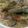 さぁ★たぁ★'s cooksnap of when they made もつ鍋風塩らーめん.